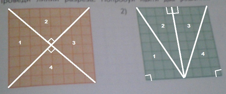 Разрезать квадрат 2 разрезами на 2 треугольника и 2 четырехугольника