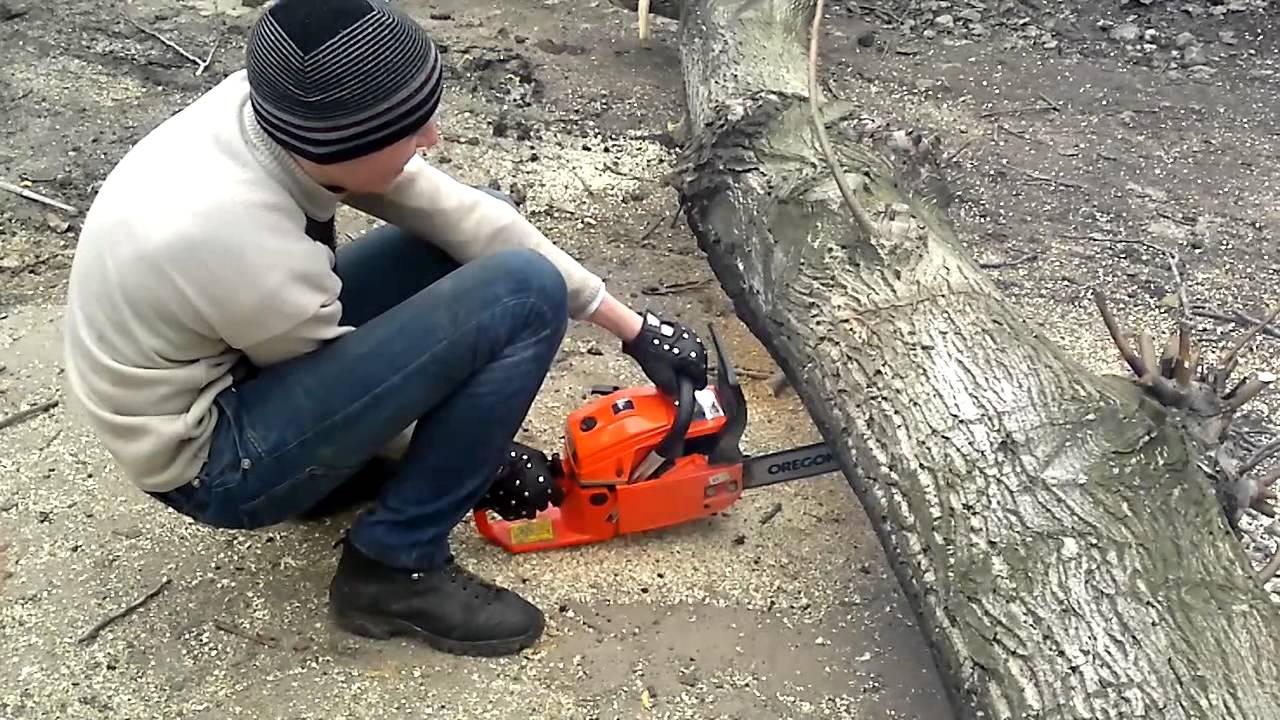 Ручная валка деревьев: инструкция и техника безопасности