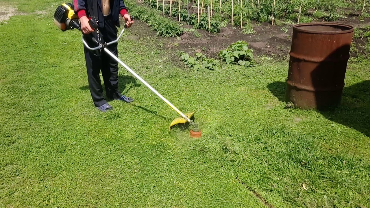 Можно ли косить мокрую траву триммером и газонокосилкой и как это делать?