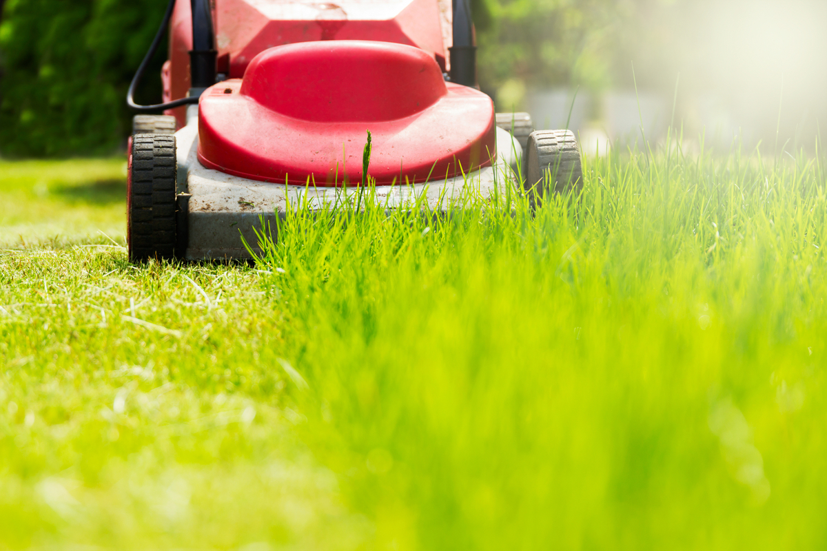 Как правильно косить траву газонокосилкой