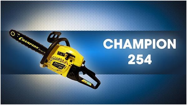  Champion 254-18: стоит ли покупать, а также отзывы владельцев .