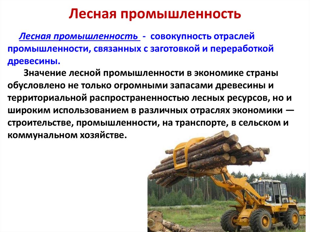 Классификация и технология производства лесоматериалов