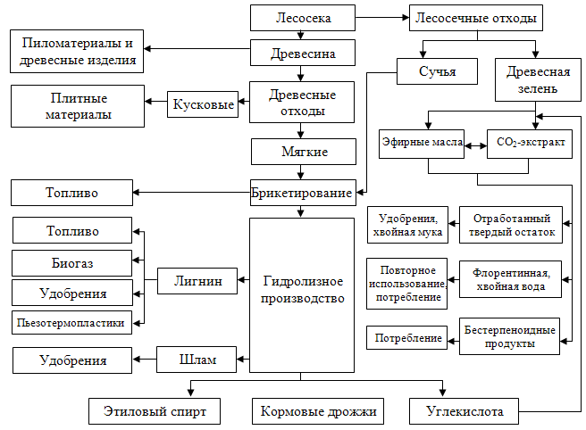Грузоведение: основные свойства лесных грузов