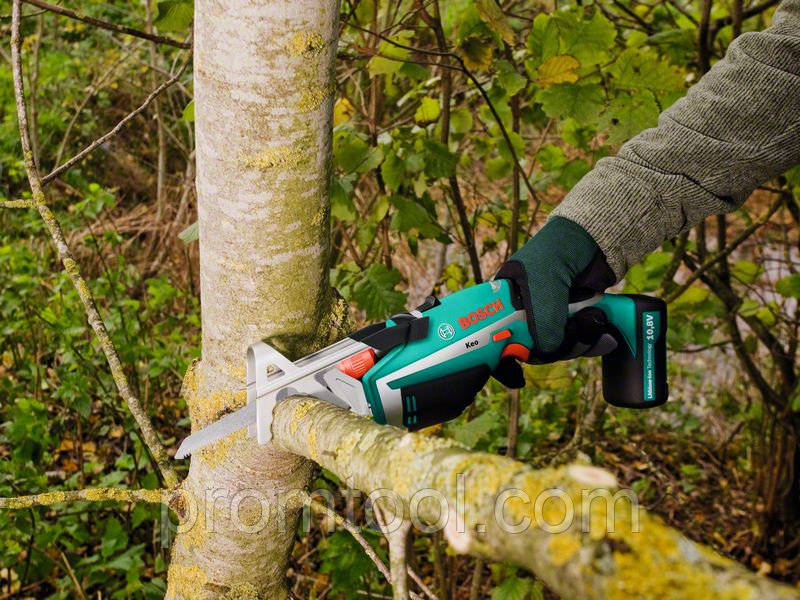 Необходимые инструменты для обрезки деревьев и кустарников