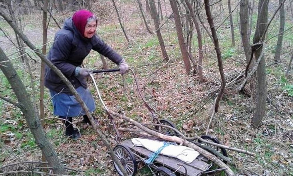 Как своими руками сделать шалаш в лесу и можно ли собирать валежник