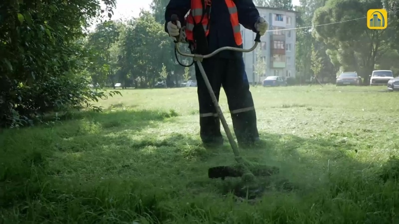 Можно ли косить мокрую траву электрическим триммером - nzizn.ru