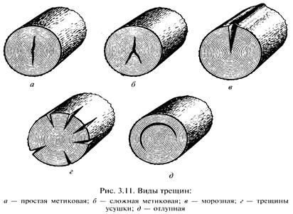 Пороки древесины: виды и характеристика. их влияние на качество готовой пилопродукции