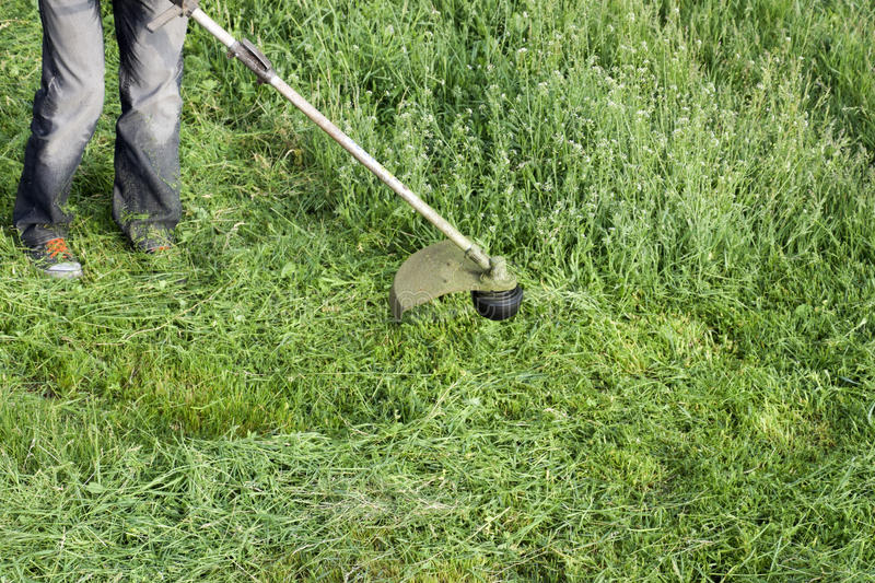 Можно ли косить газон триммером: как ровно подстричь газонную траву, как правильно стричь, как выглядит триммер для стрижки