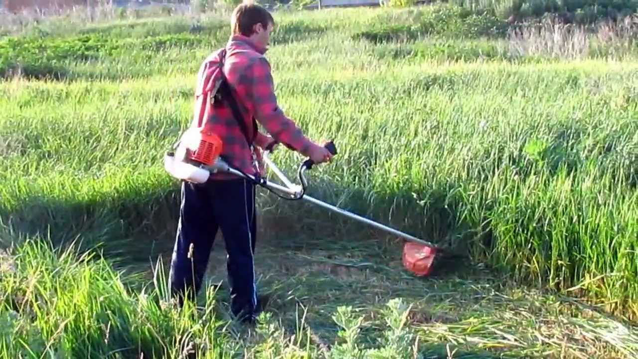 Чем можно скосить траву на участке в разных случаях: с оборудованием и вручную
