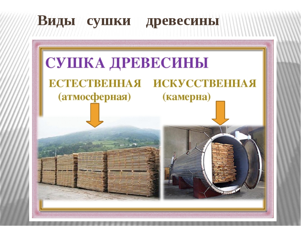 Какую сушильную камеру выбрать для сушки древесины - древология - все о древесине, строительстве, ремонте, интерьере