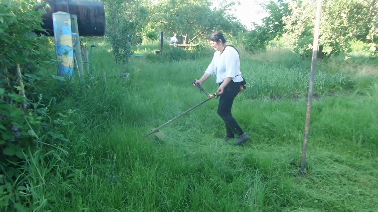 Можно ли косить мокрую траву электрической газонокосилкой (видео)