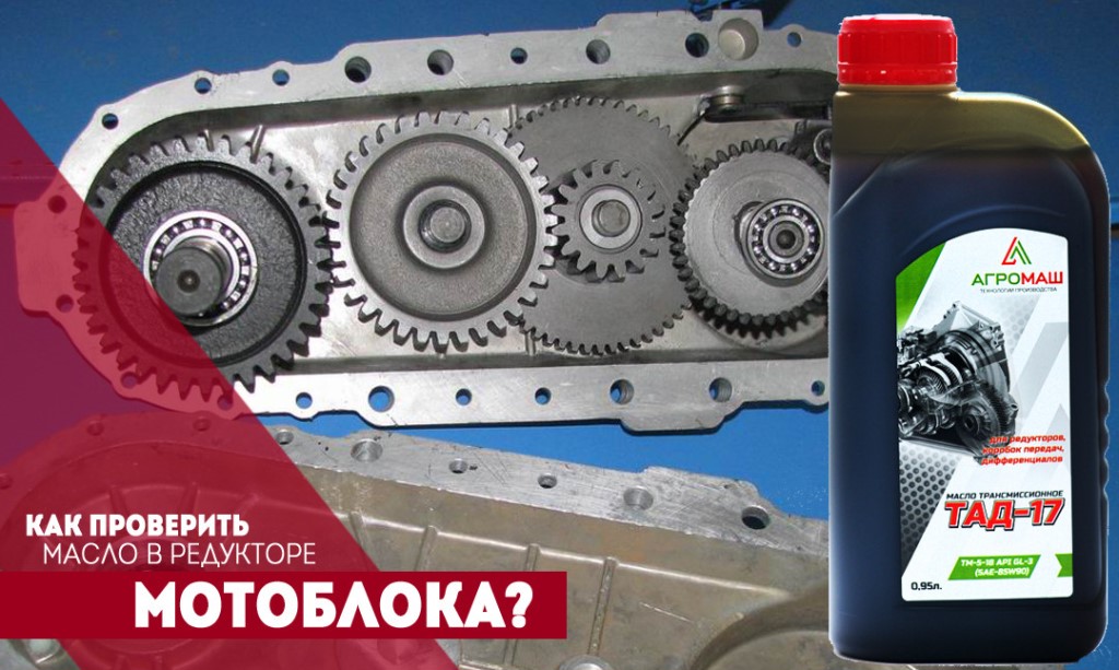 Какое масло заливать в двигатель мотоблока нева?