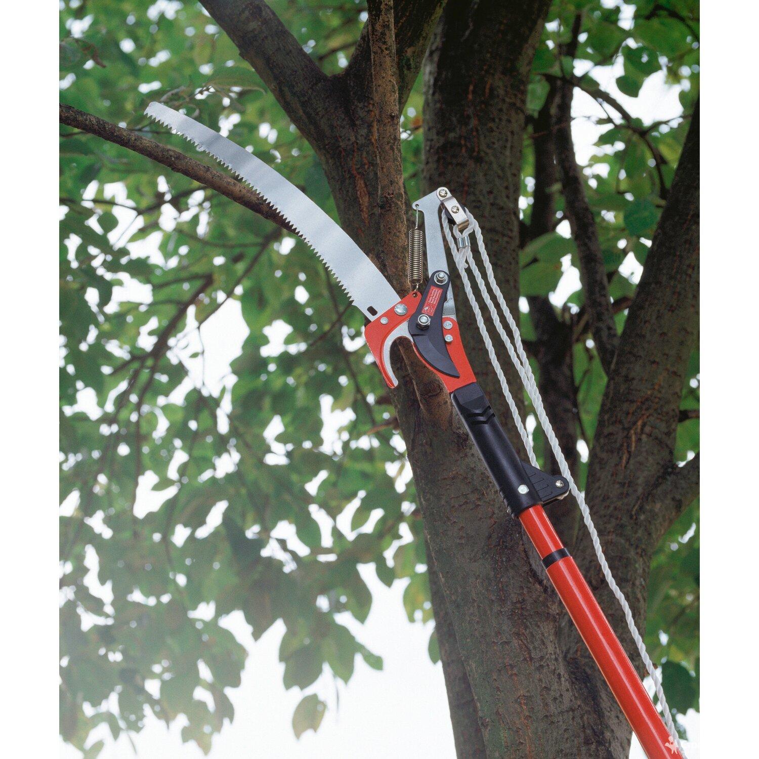 Как выбрать садовый инструмент для обрезки деревьев