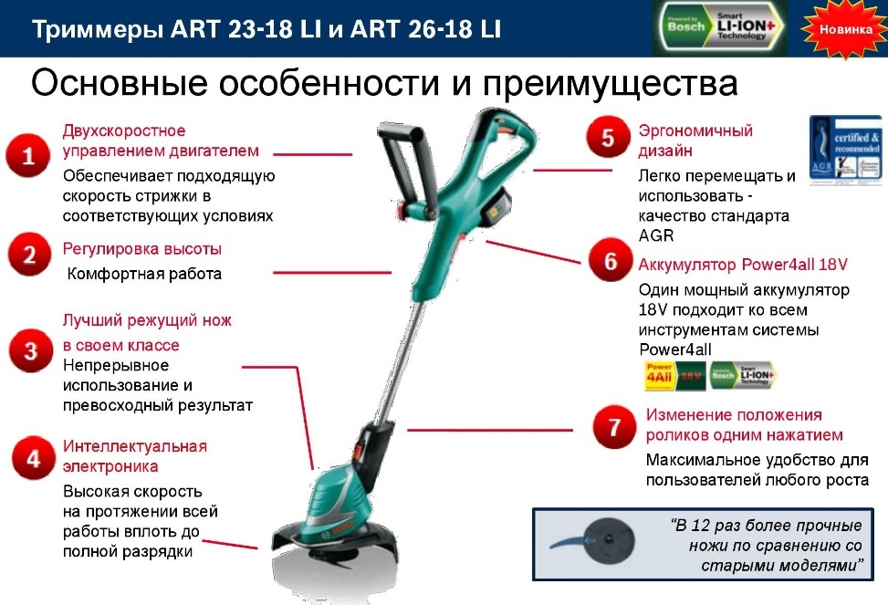 3 важных нюанса, со скольки лет можно работать