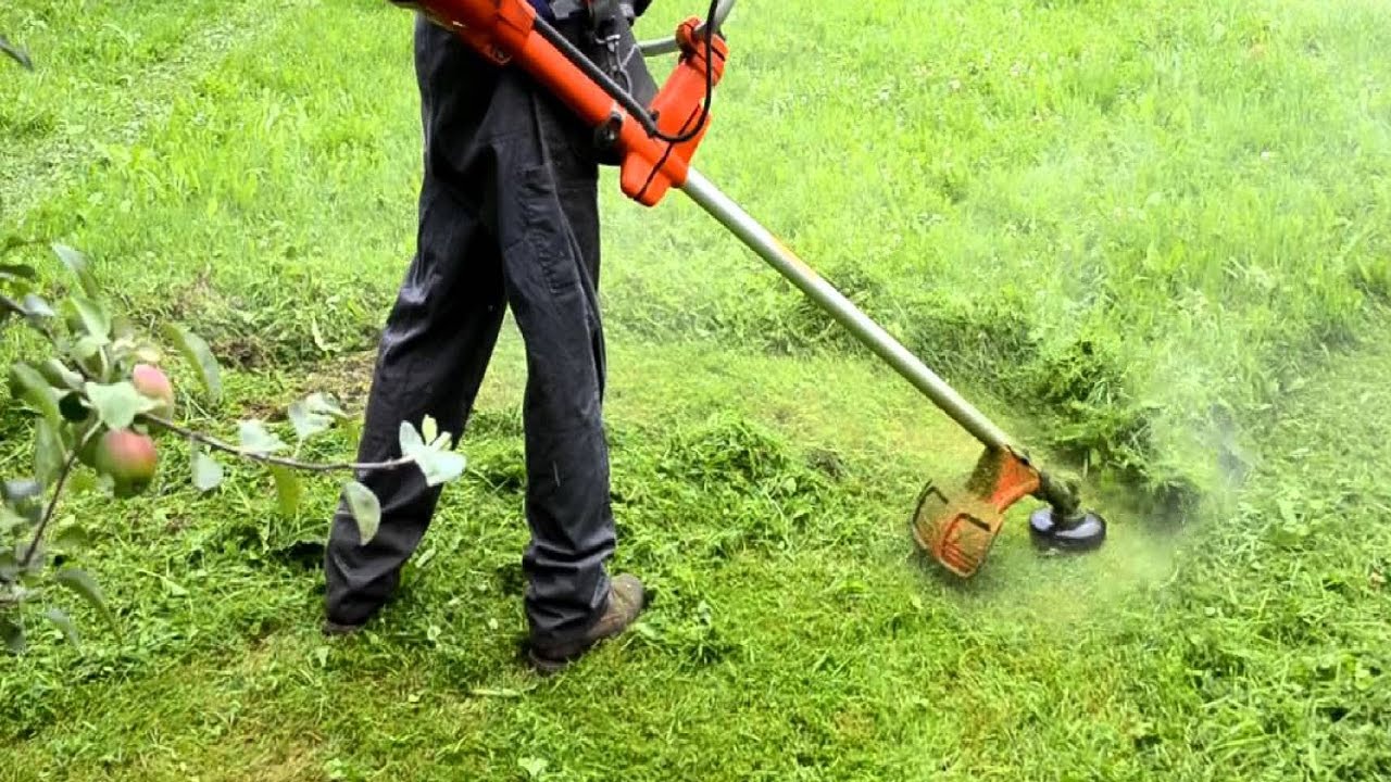 Можно ли газонокосилкой косить мокрую траву • evdiral.ru