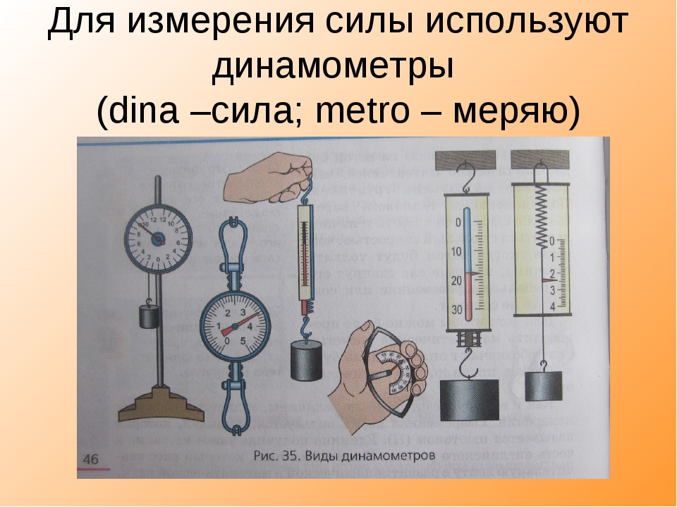 Динамометр – шкала измерения, принцип действия прибора и физическая величина (7 класс)