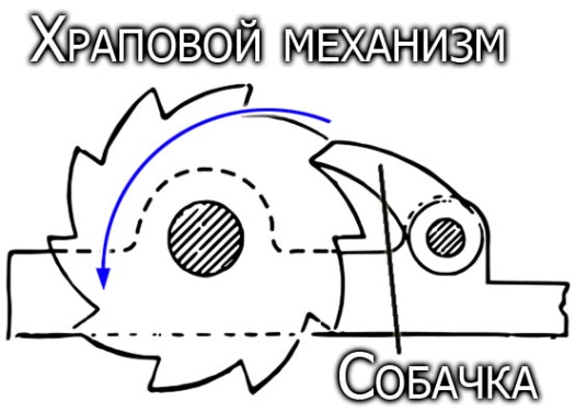 Секатор с храповым механизмом: облегчаем рез веток и побегов