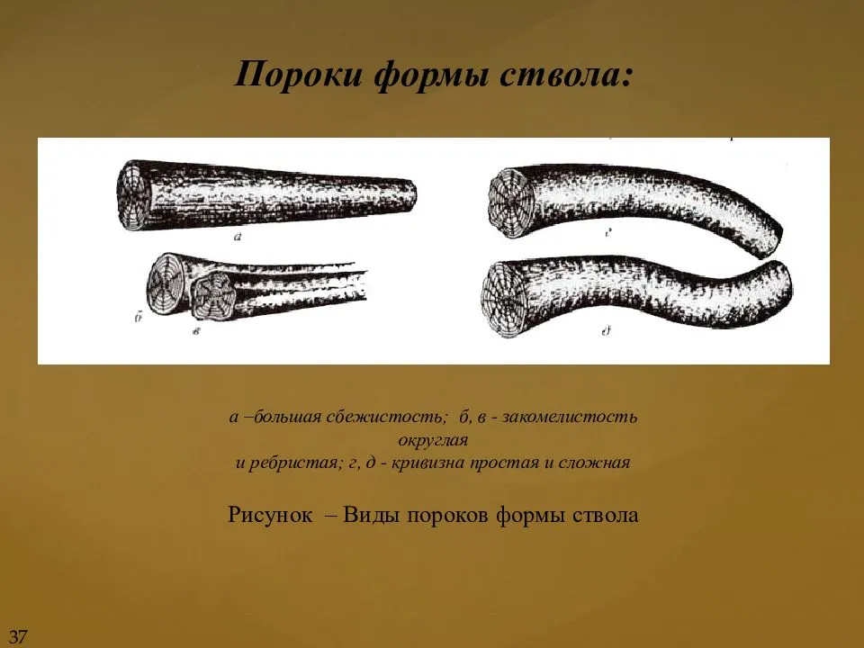 Пороки строения древесины [1974 - - круглые лесоматериалы. справочник]