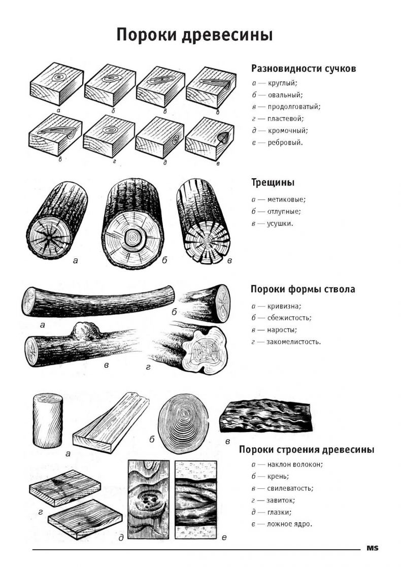 Древесина. виды, свойства, классификация и пороки древесины